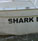 SHARK PARK