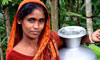 Well Water - Bangladesh