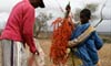 Blooming Business - Mauritius/Madagascar